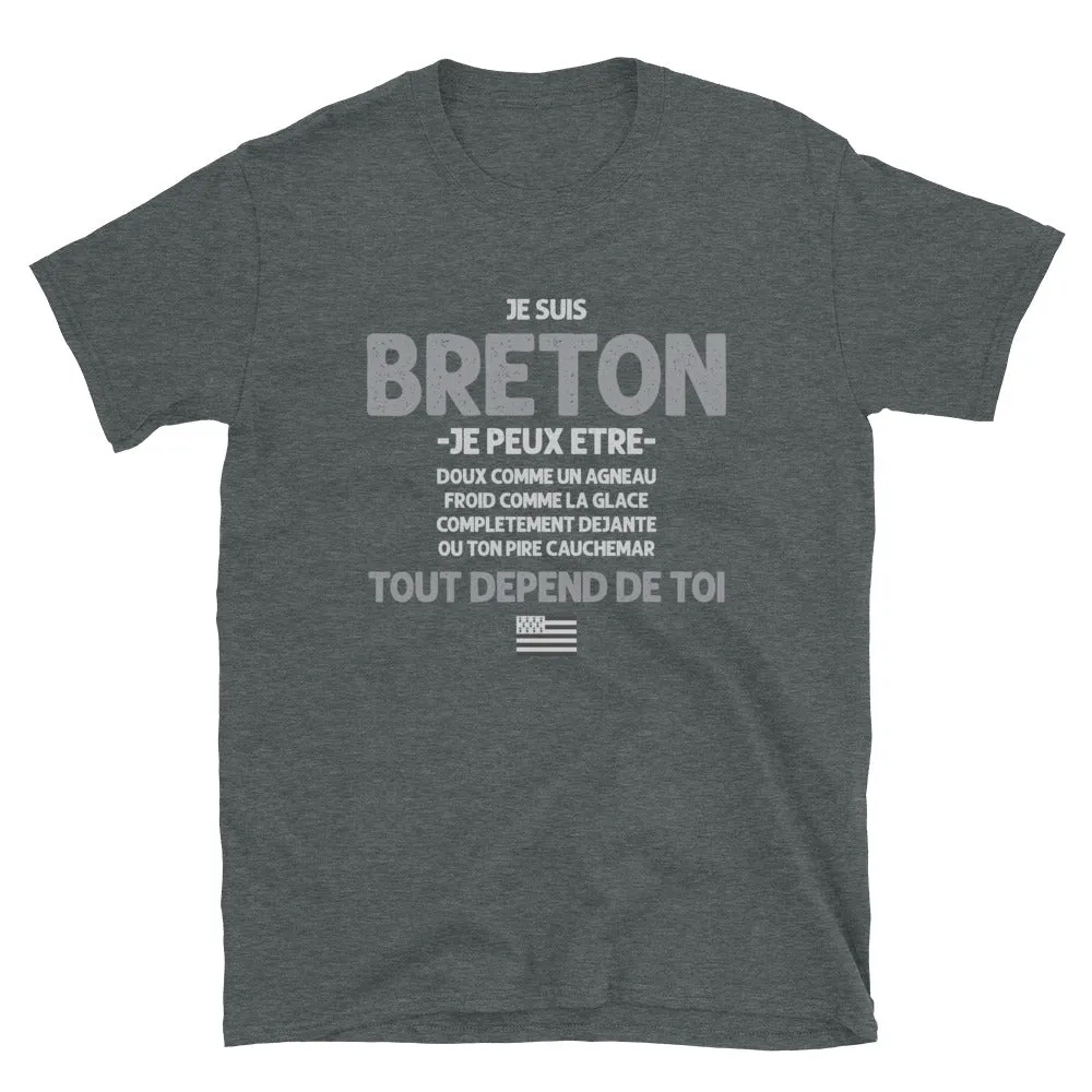 Breton tout depend de toi - T-shirt Standard